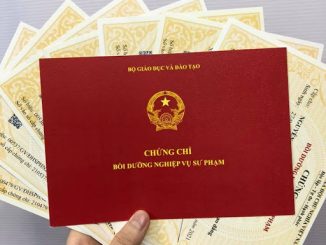 mẫu chứng chỉ nghiệp vụ sư phạm